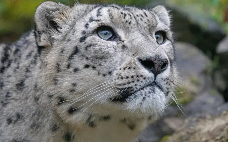 10大必知的恋爱技巧