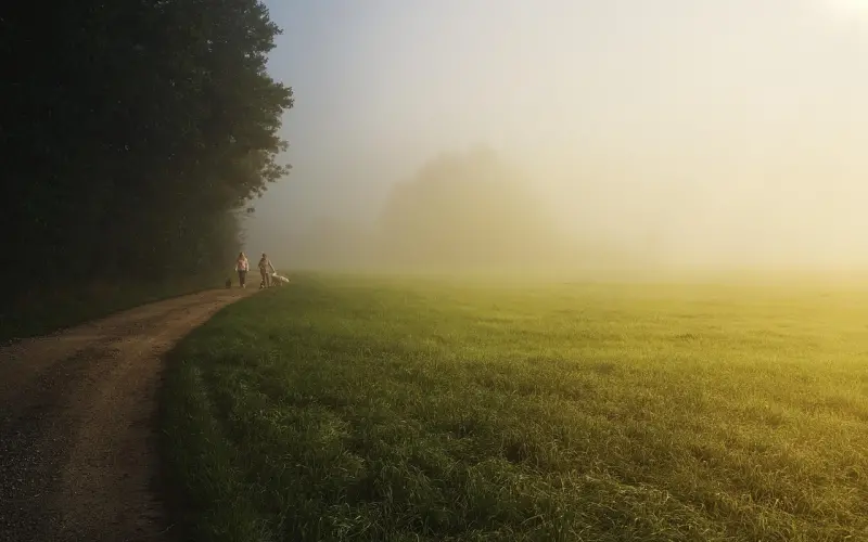 10句看哭了的网易云热评：多少人以朋友的名义默默地爱着！