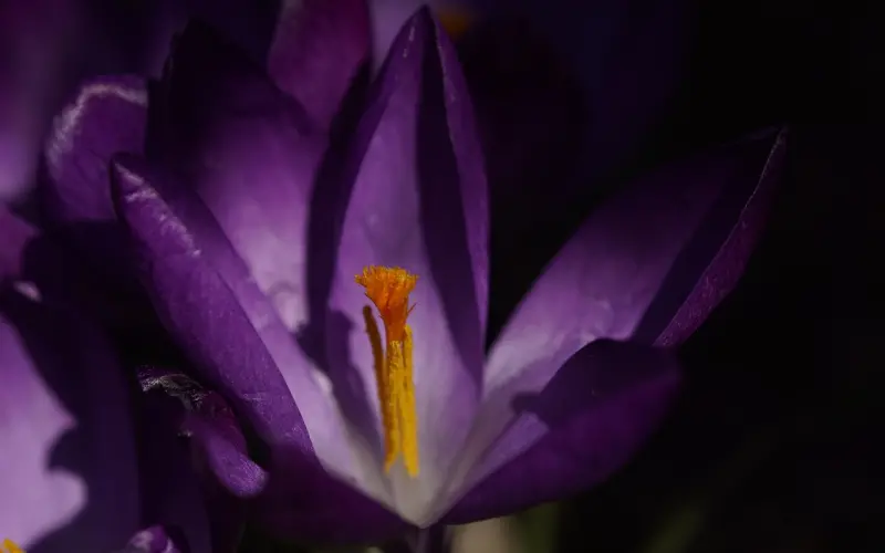 100个案例总结出男人出轨的5个征兆，早看早预防！