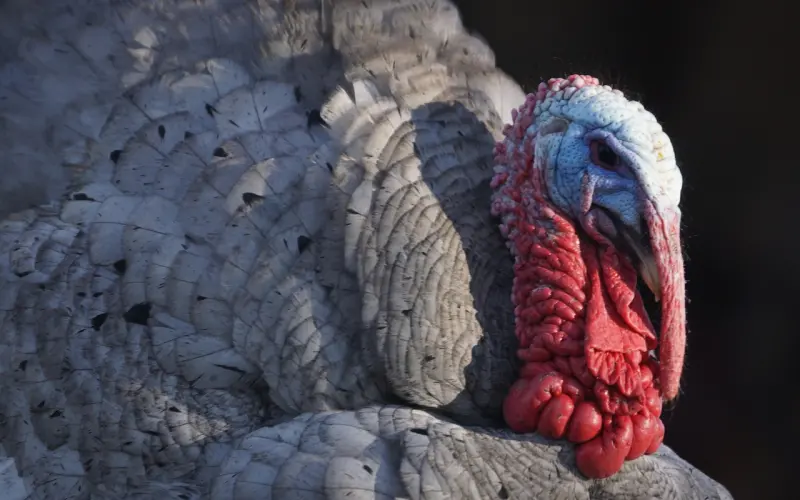 每天都有100对情侣因为没话聊而分手，今天给你答案！