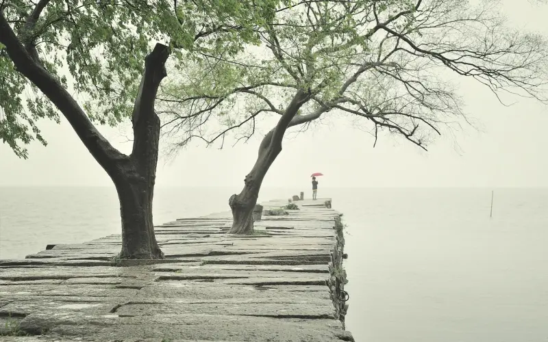 1105天的等待：确认过眼神，一起砍过人