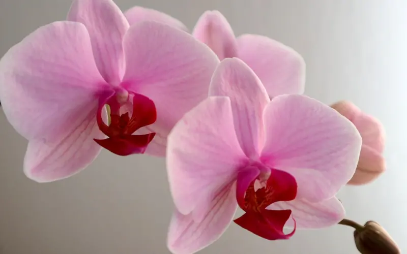 2个“现学现卖”的撩妹技巧，赶紧入手！