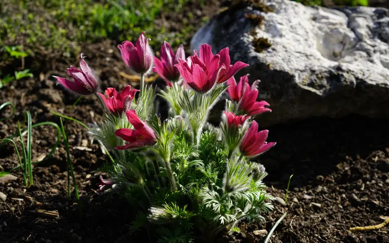 2019适合发朋友圈的说说心情短语 朋友圈人生哲理精辟短句