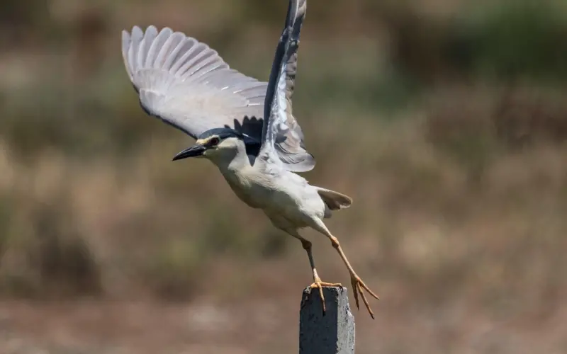 追女生的23个冷门小技巧，太准了！