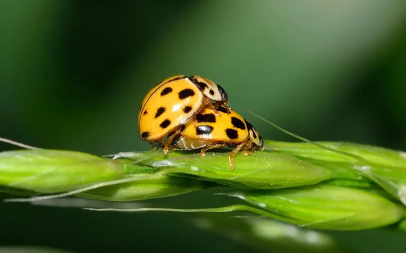 3.7女孩，先谋生，再谋爱