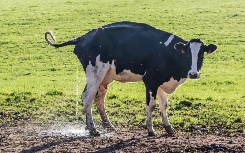女人内心的3大秘密，你有必要知道！
