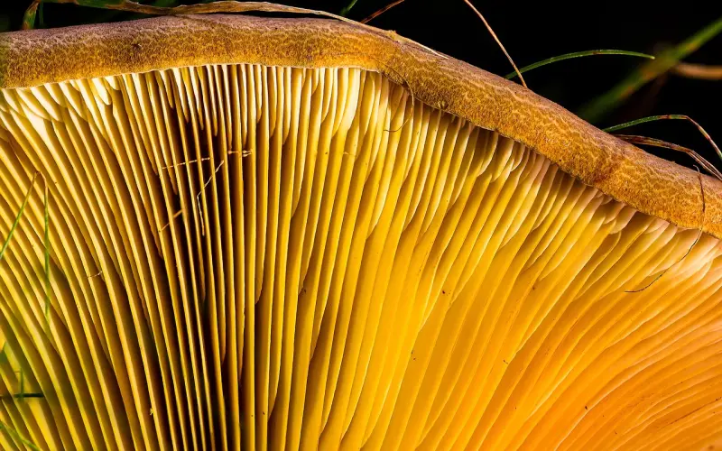 吸引女生的3条捷径，你想走哪一条？