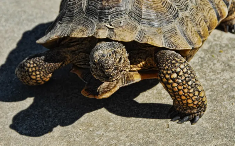 36岁张钧甯：年龄为何成为你的焦虑？