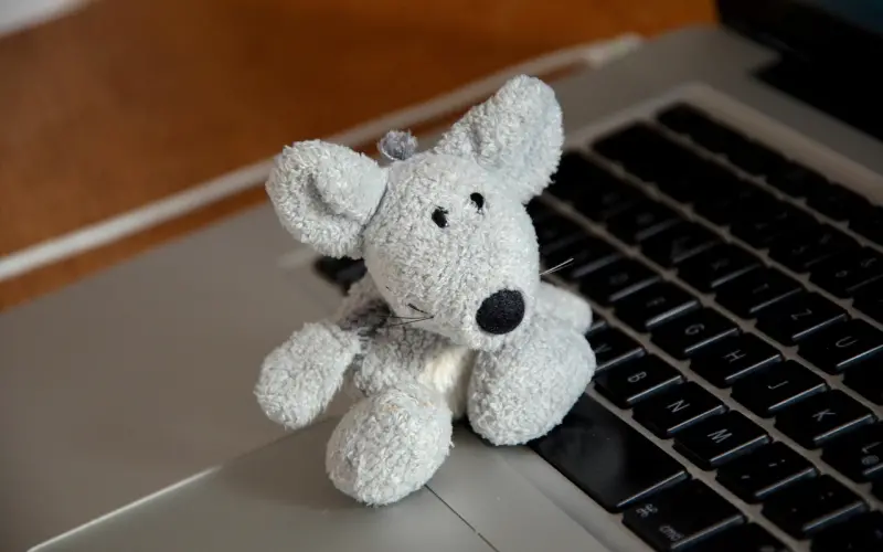 (4/18~4/24)  一周星座運勢