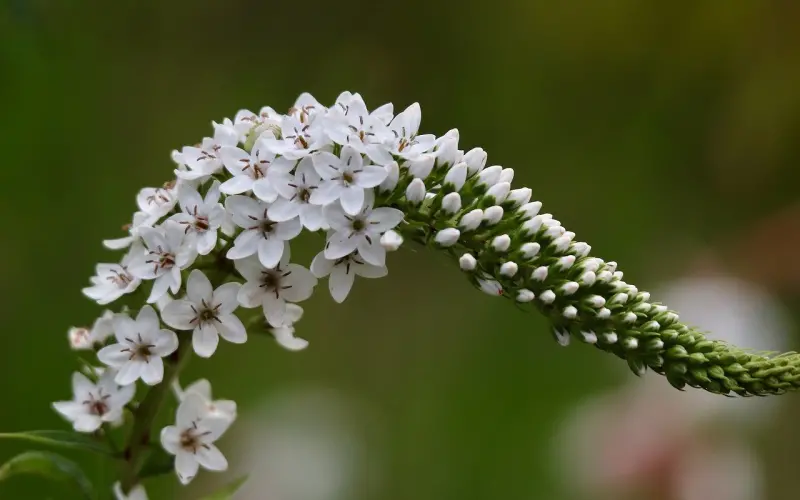 恋爱时男人给女人花钱的4点建议