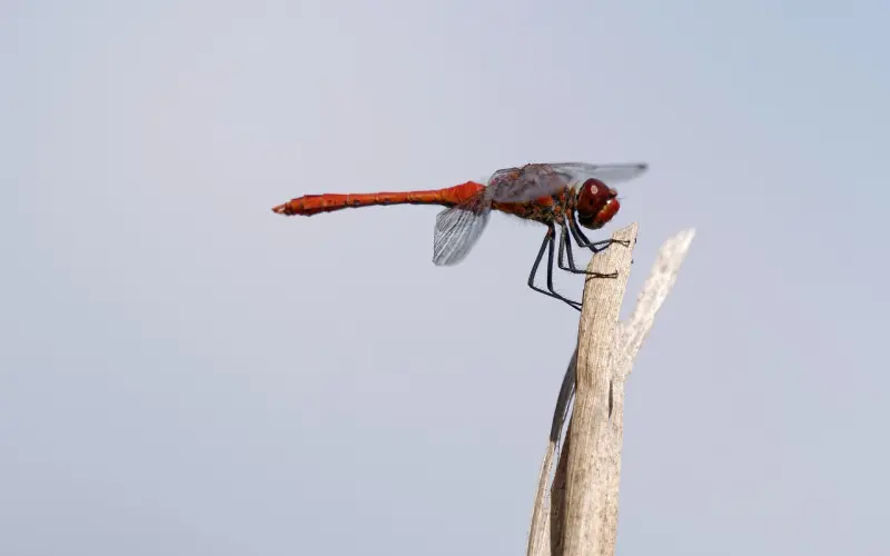 5个小细节教你看穿劈腿男，拒绝做傻姑娘！