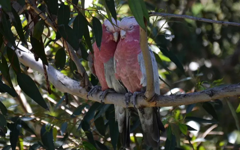 朋友“变”恋人的6大风险！