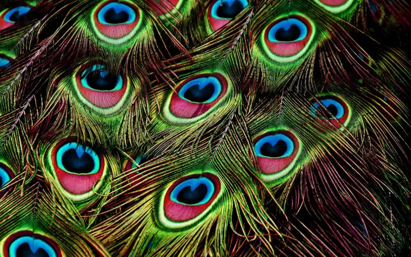 女生最怕男生知道的6个秘密