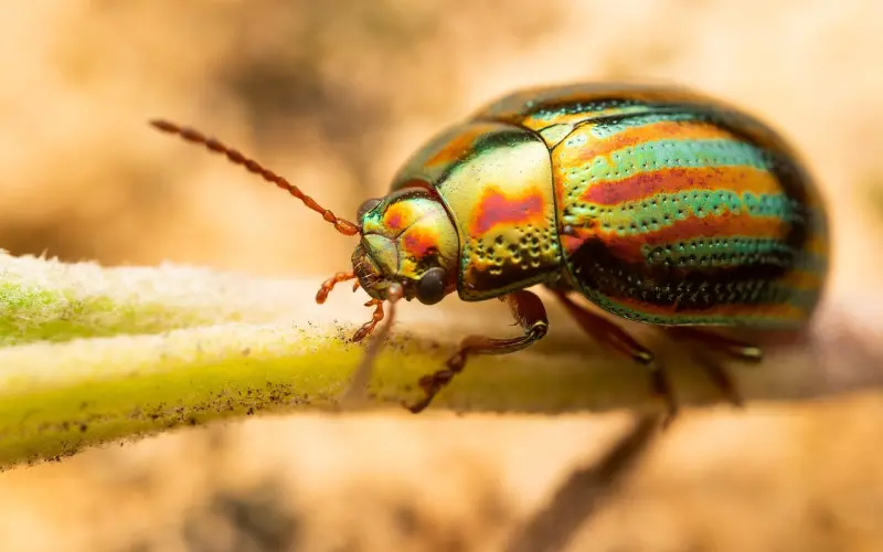 【6条超实用建议+3组关键词】告诉你：什么才是真正的自我提升？