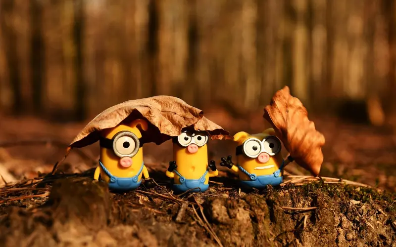 7个实用案例：女生最喜欢的聊天方式（第一期）