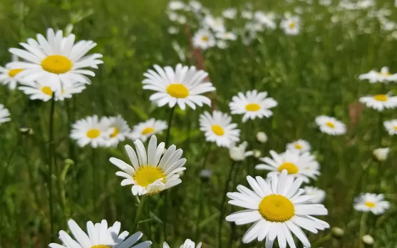 7种实用攻略：怎么判断妹子喜不喜欢我？