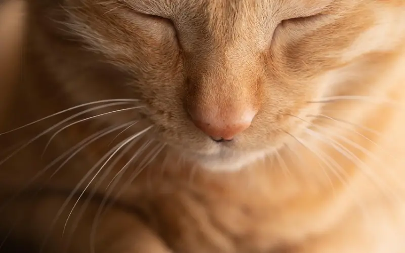 男人彻底喜欢上你的7种表现