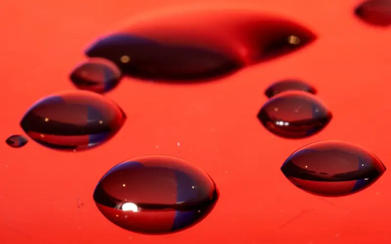 两个人真心相爱的7种感觉，占2条说明你们是真感情！假不了！