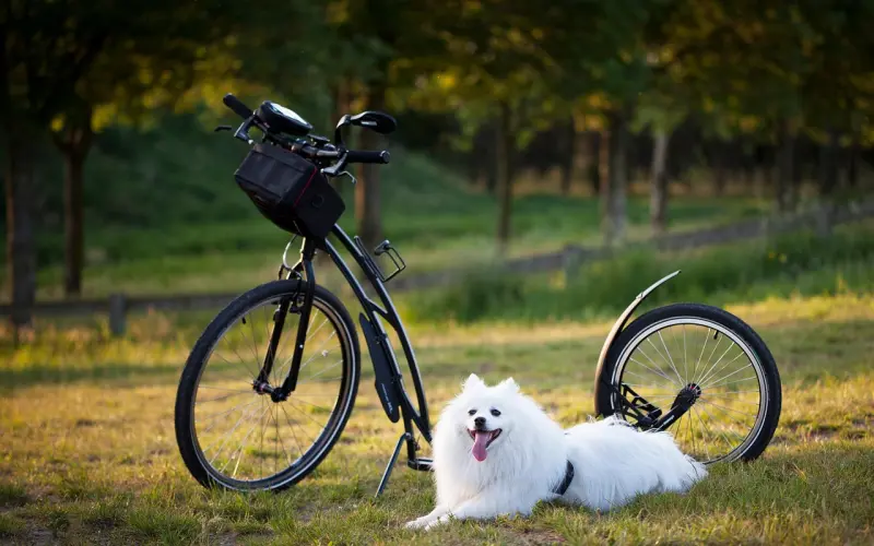 追女生完美的8个步骤，详细干货