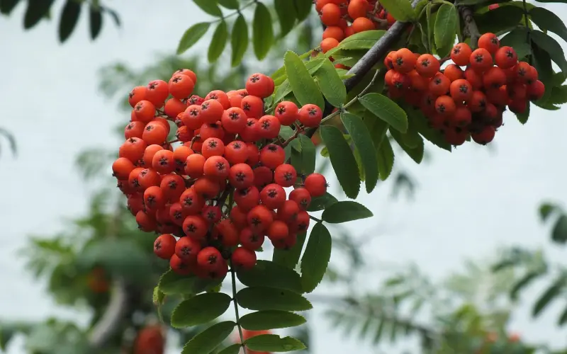 判断男生是否喜欢你的9种方法，让喜欢无处躲藏