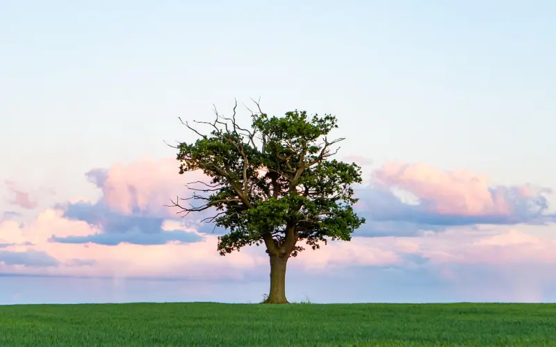 形象不好注孤生？这一招足够用了
