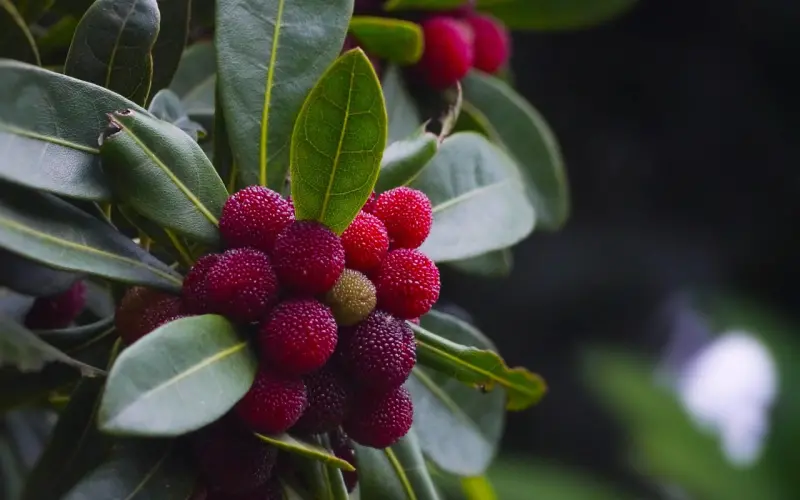 颜好「活」也好的大美妞，竟是韩国最火刺青师丨污力末班车