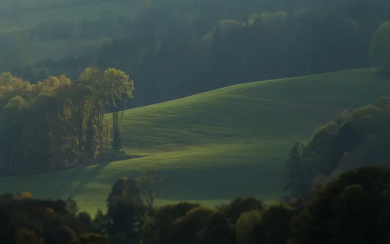 一条朋友圈引发的“血案”