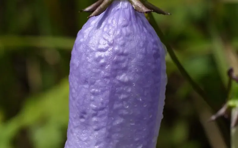 智斗小三经典案例，聪明的女人都是这样挽回老公