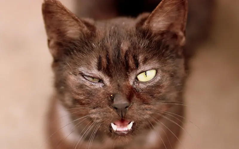 挽回错误行为收录：失恋后盲目给前任发信息