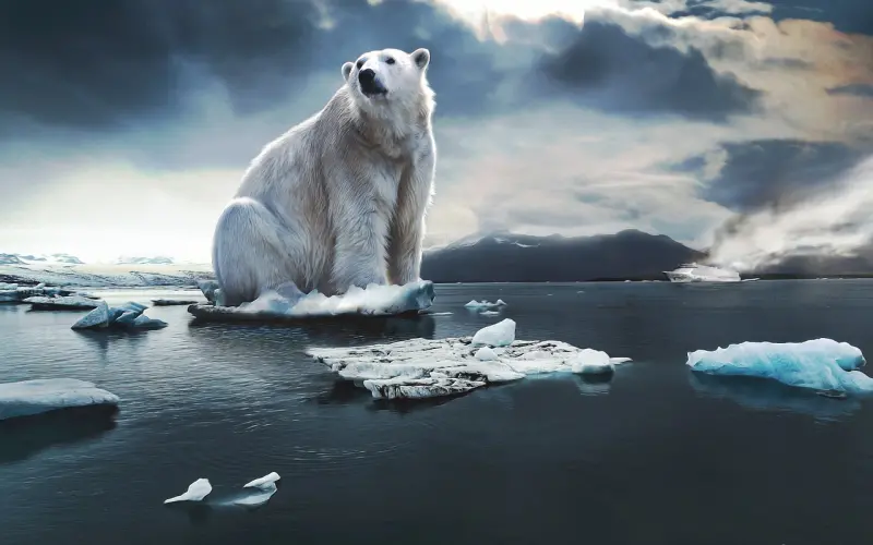 挽回天蝎男全攻略之学会技巧，让他对你死心踏地