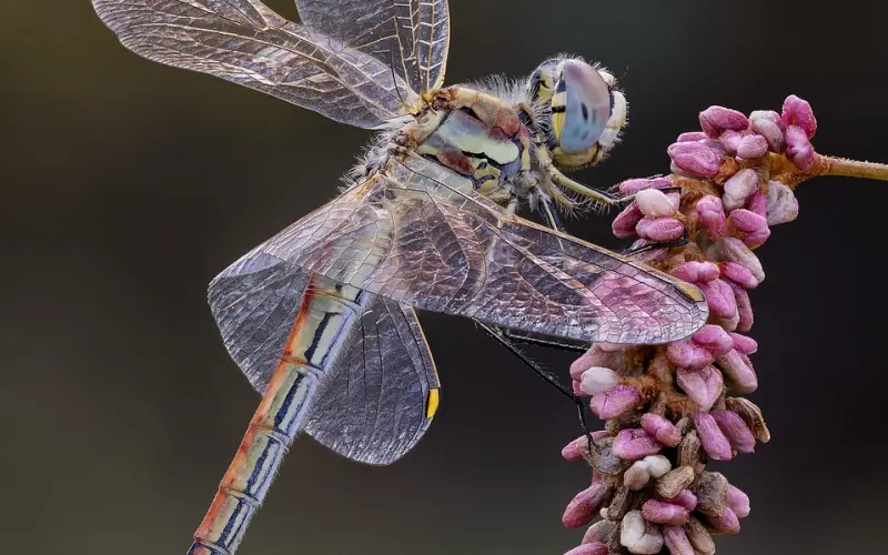 精致的女人，一定不能忽略这个小细节