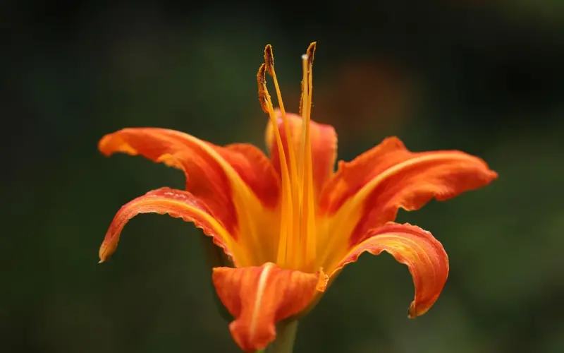 女生回复我消息很慢，还应该继续追她吗