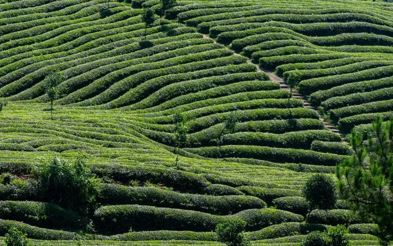 女生喜欢我，但是她觉得我身边的女生太多