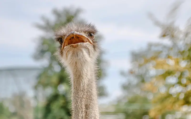 好的伴侣，不会让你越来越自卑