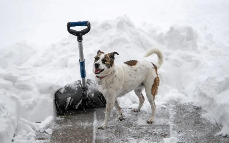 好老婆，是夸出来的