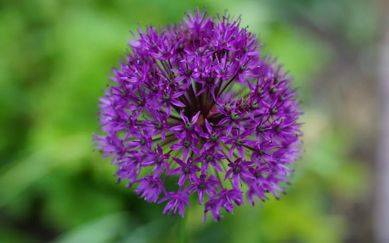 幸福的感情不必三观一致，最重要的是…