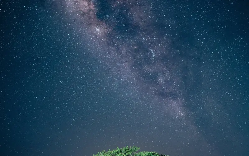 被iPhone标记的人生