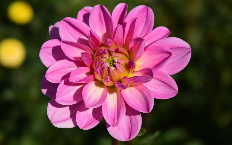 一个大龄单身女性的爱情自白书