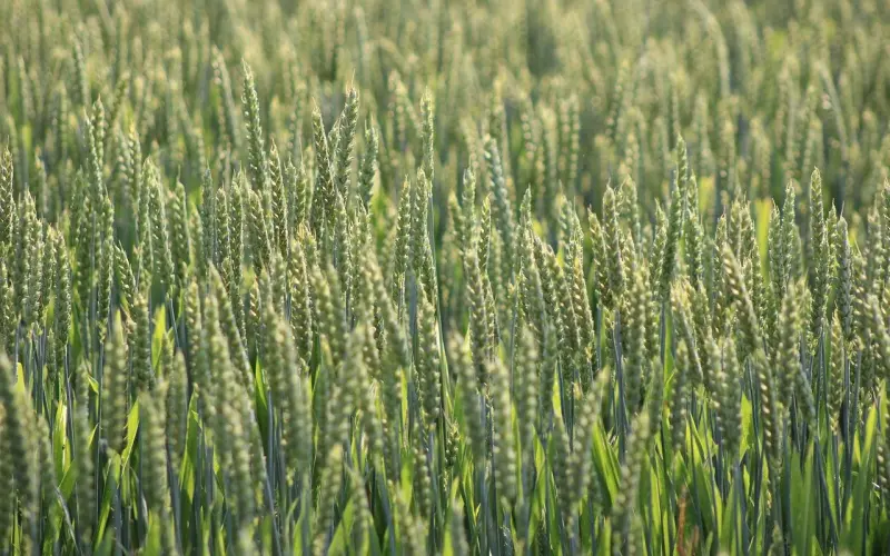 男人提分手并非刻意，他可能只想做一件事