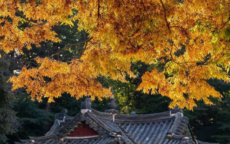 男人明明爱你却不主动联系你，聪明的女人会这样做