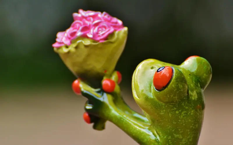 不为你花钱的男人，一定不爱你？