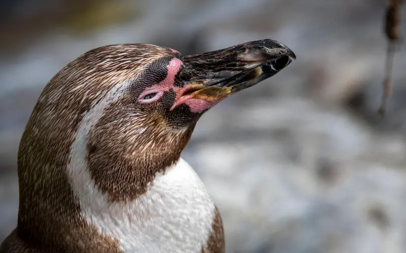 爱你的男人，是不会这么说的