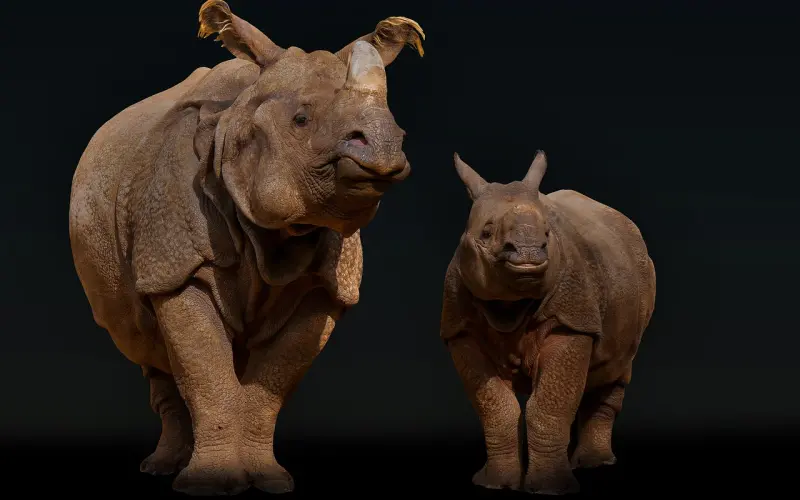 男人只有对他在乎的女人，才会这样子