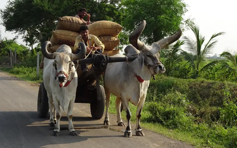 已婚男人爱上你，基本上都是出于这些“目的”, 女人心里要有数