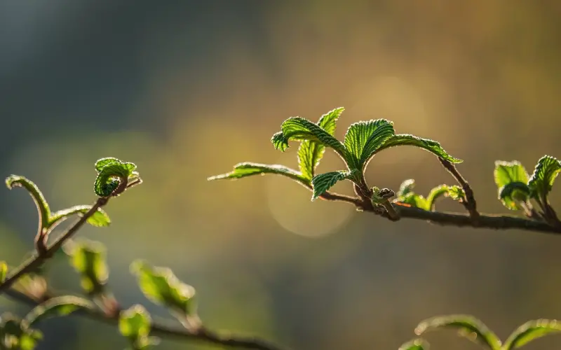 已婚女人迷上你，对你春心泛滥，才会忍不住给这潜台词
