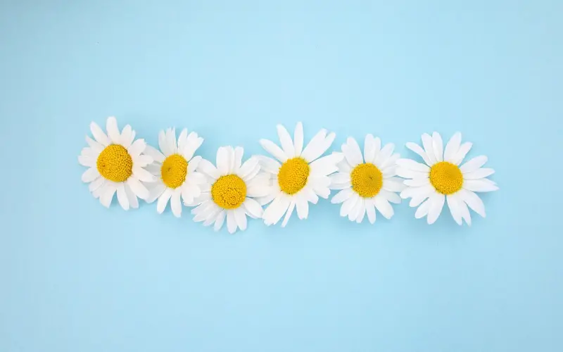 和妹子约会必备的修图方式@发麻摄影-安卓专场