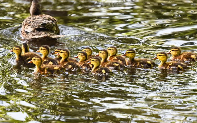 约会十四个必玩，她记你一辈子