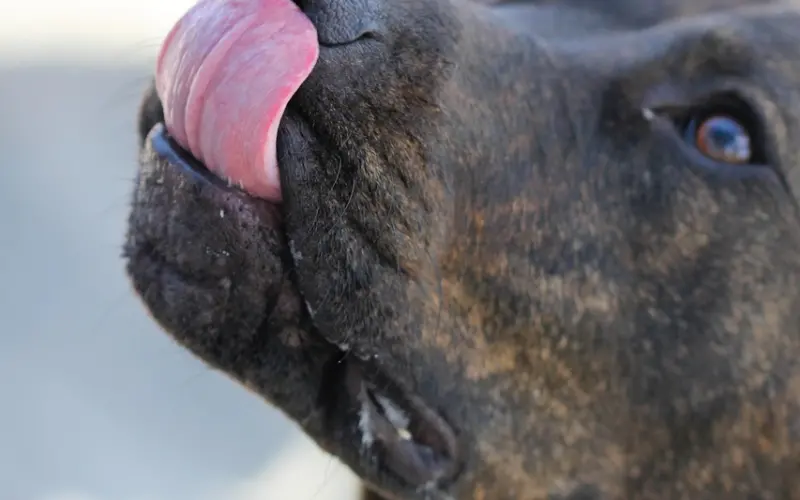 妻子必看 9个经典谎言 看出男人是否出轨