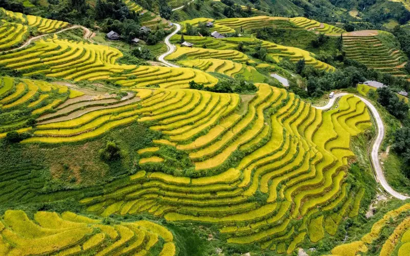 一个人的福报从吃上面就可以看出来