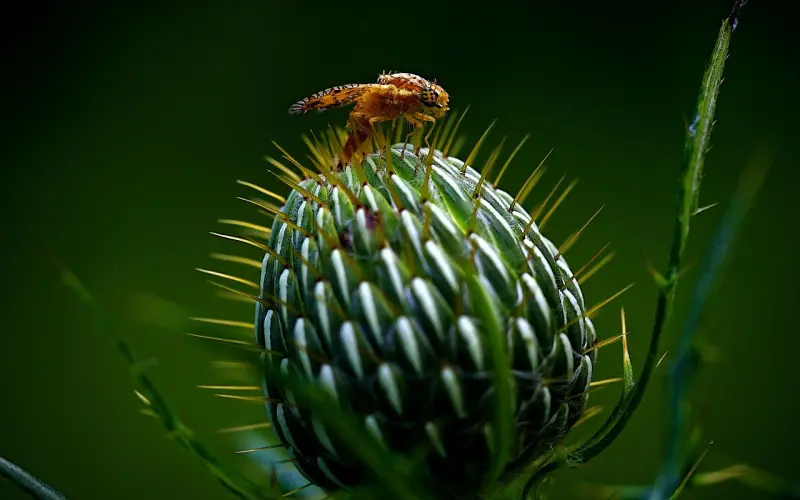 让你们彼此更了解的实操指南